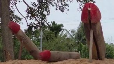 Buriram residents use penis amulets to fend off alleged black magic from Cambodia | Thaiger