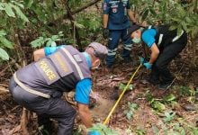 Woman’s skeleton found in Udon Thani forest during mushroom hunt | Thaiger
