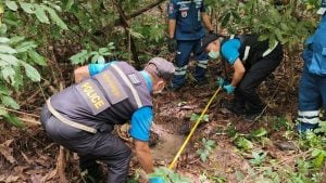 Woman’s skeleton found in Udon Thani forest during mushroom hunt | Thaiger