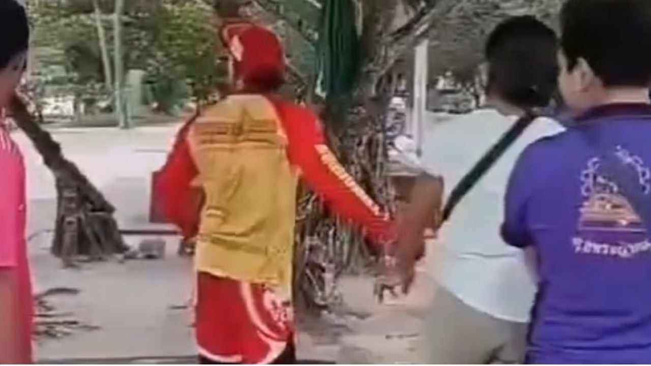 Lifeguard saves tourist from theft