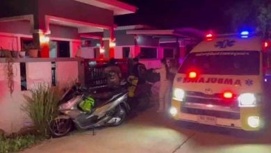 Thai man fatally stabs former father-in-law and confesses crime to mother | Thaiger