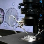 What it’s really like to do IVF in Thailand, according to a fertility doctor | Thaiger