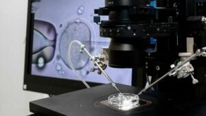 What it’s really like to do IVF in Thailand, according to a fertility doctor | Thaiger