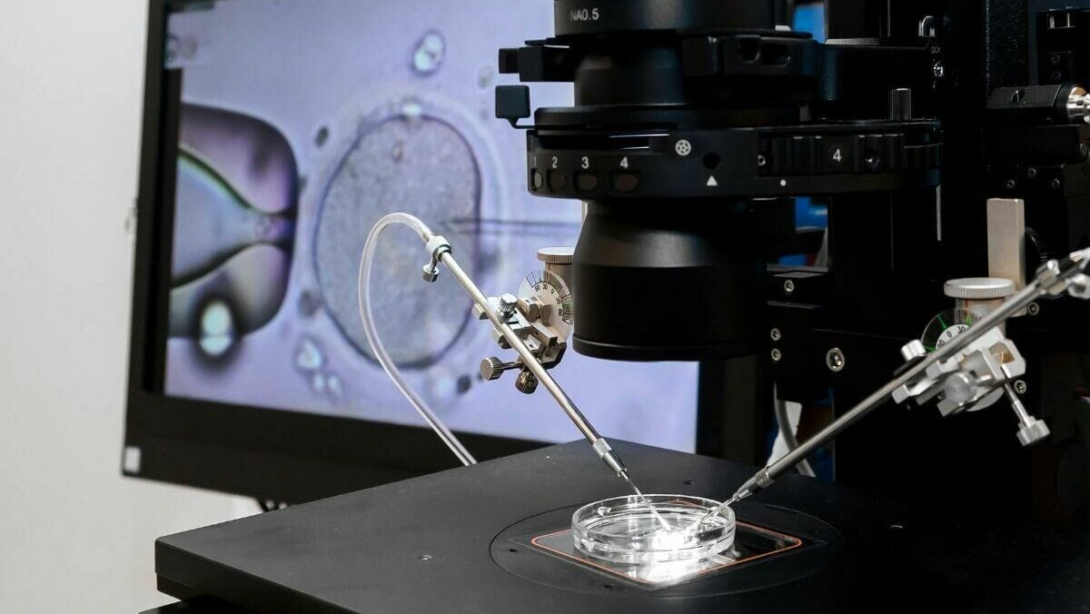 What it’s really like to do IVF in Thailand, according to a fertility doctor