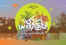 Discover southern charm at Pakk Taii Design Week 2025