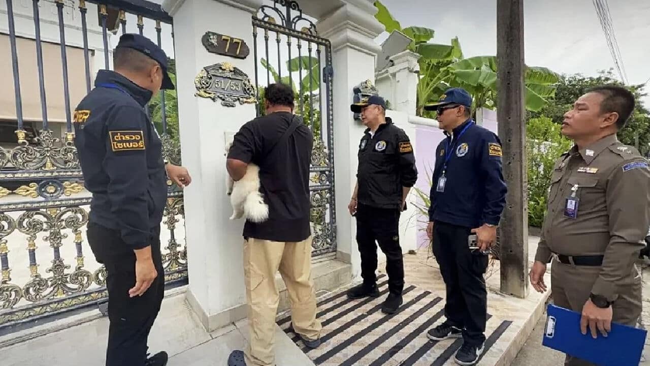 Империя мошенничества Камбоджи-Таиланда разоблачена в ходе масштабного полицейского рейда