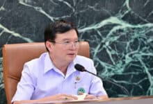 Rabies deaths in Thailand triple with dogs as primary source