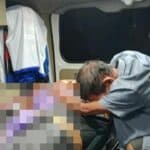 Thai woman dies in attack by wild elephant in Surat Thani forest | Thaiger