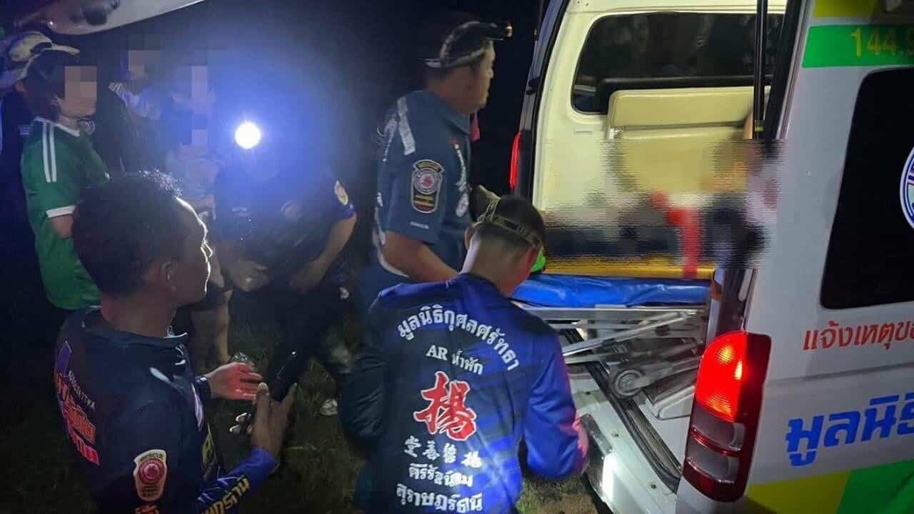 Thai woman dies in attack by wild elephant in Surat Thani forest | News by Thaiger