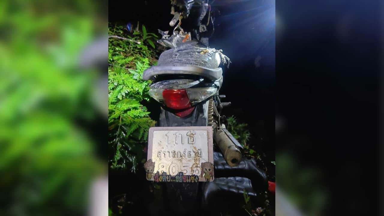 Thai woman dies in attack by wild elephant in Surat Thani forest | News by Thaiger