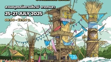 Phuket’s green season revival at Sip & Surf x Beach Break @Kamala 2025 | Thaiger
