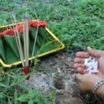 Punters spin web of hope at Ang Thong temple tarantula tip-off | Thaiger