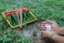 Punters spin web of hope at Ang Thong temple tarantula tip-off