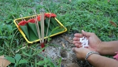 Punters spin web of hope at Ang Thong temple tarantula tip-off