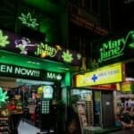 Thailand rolls out cannabis prescription form for 15 conditions | Thaiger
