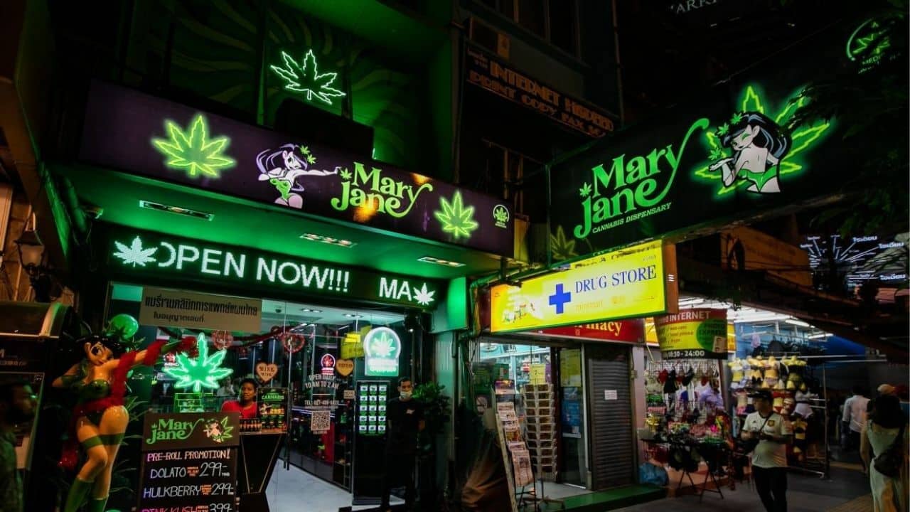Thailand rolls out cannabis prescription form for 15 conditions