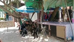 Phuket bomb scare sparks mosque security clampdown