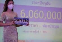 DLT warns against counterfeit licence plates sold on social media