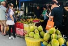 Durian variety draws Malaysia, Singapore tourists to Yala’s Betong