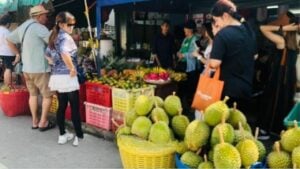 Durian variety draws Malaysia, Singapore tourists to Yala’s Betong