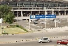 Bangkok gibbon smuggling busted at India’s Chennai Airport