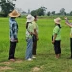Foul play: Buriram village choked by giant chicken farm nightmare | Thaiger