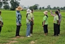 Foul play: Buriram village choked by giant chicken farm nightmare
