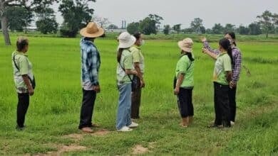 Foul play: Buriram village choked by giant chicken farm nightmare | Thaiger