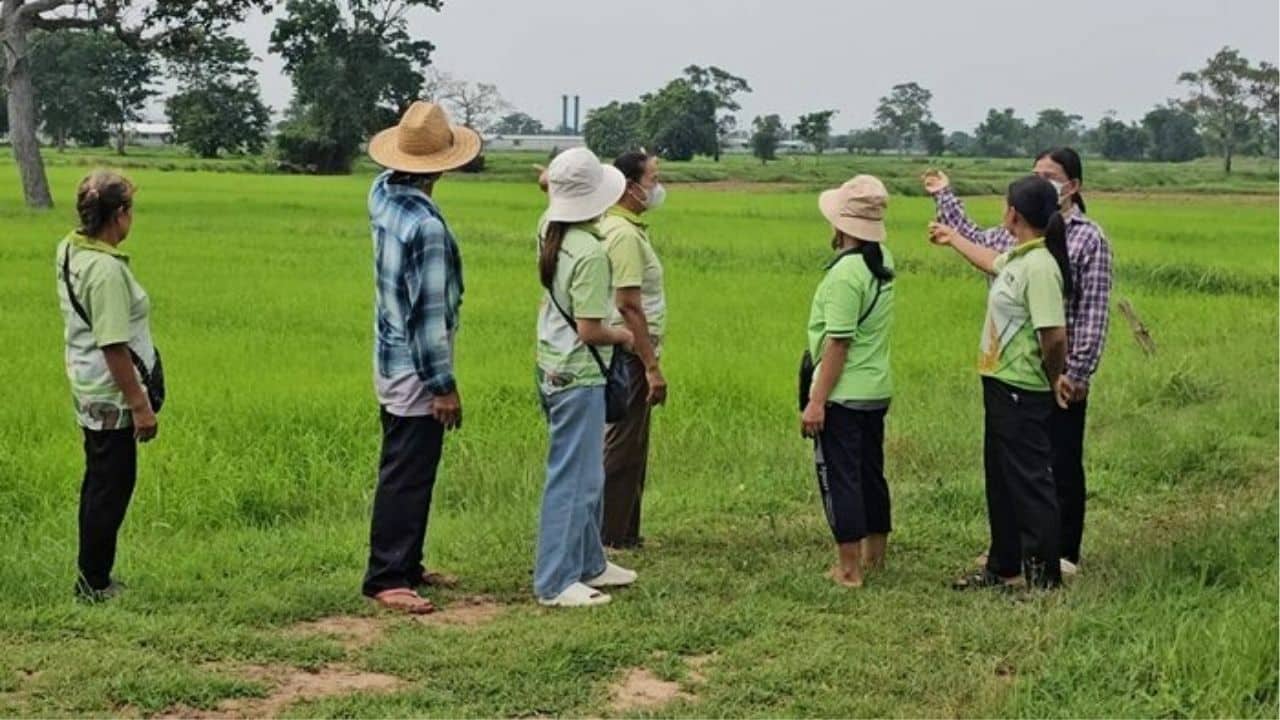 Foul play: Buriram village choked by giant chicken farm nightmare