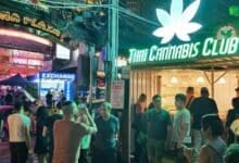 Weed crackdown: Thailand to force cannabis shops to hire doctors