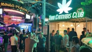 Weed crackdown: Thailand to force cannabis shops to hire doctors