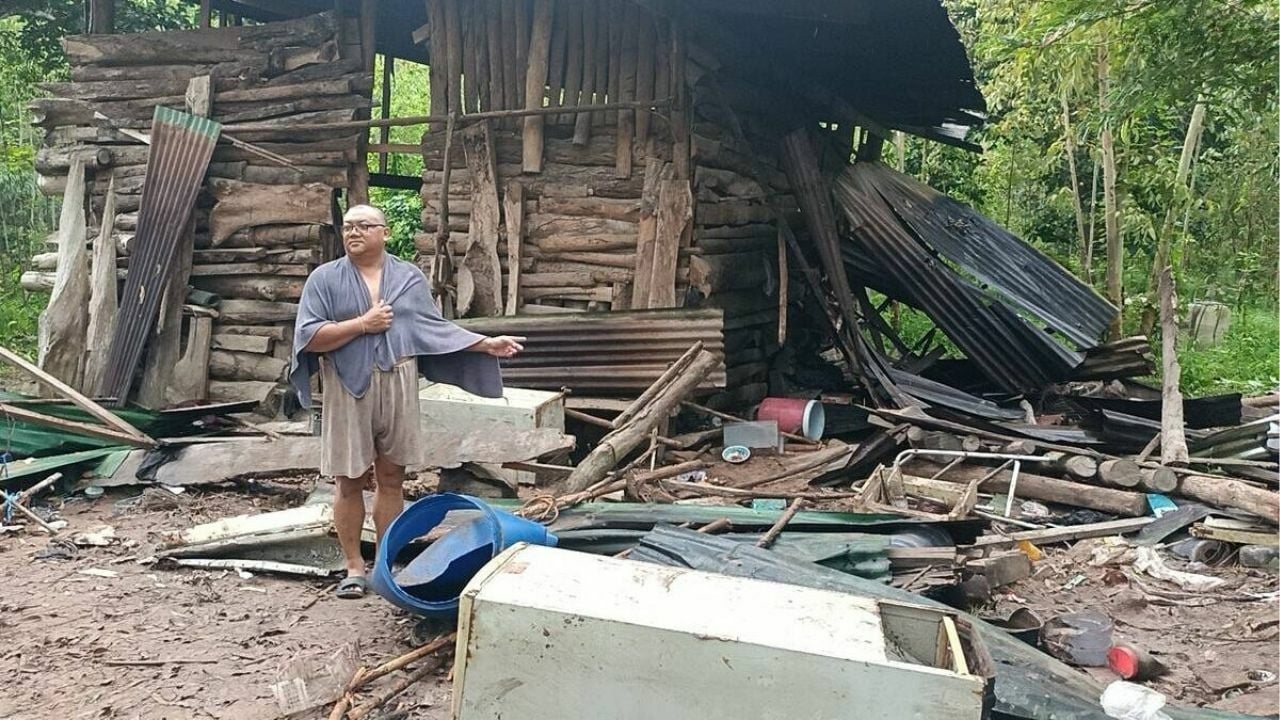 Дикие слоны ищут пищу и сеют хаос в Прачин Бури
