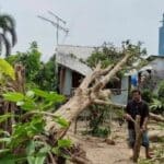 Homes wrecked, power poles downed in Thalang storm chaos | Thaiger