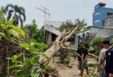 Homes wrecked, power poles downed in Thalang storm chaos