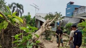 Homes wrecked, power poles downed in Thalang storm chaos