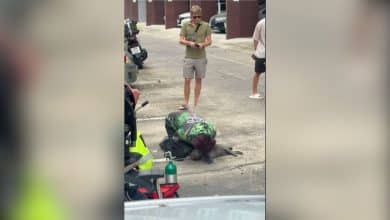 Paws of glory: Hero rider saves cat from blaze in Bangkok condo | Thaiger