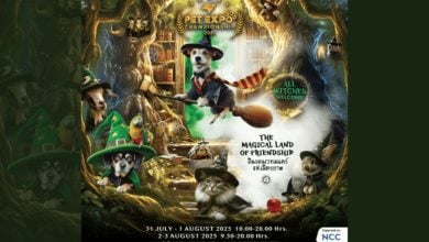 Pet paradise unleashed at Bangkok’s epic expo | Thaiger