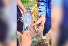 Cambodia ‘catches’ Thai spy pigeon, Thais in stitches | Thaiger