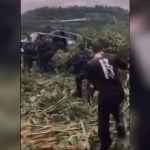 Jungle ordeal ends in rescue for 19 Thai rangers (video) | Thaiger