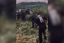 Jungle ordeal ends in rescue for 19 Thai rangers (video) | Thaiger