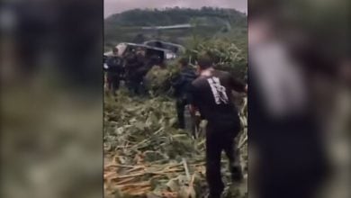 Jungle ordeal ends in rescue for 19 Thai rangers (video) | Thaiger