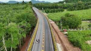 Thailand builds giant bridges to save wild elephants from roads