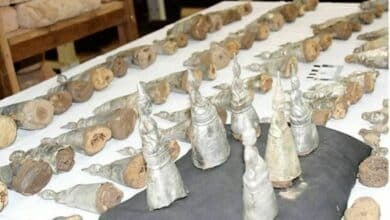 Hidden Buddha statues unearthed in Laos temple dig