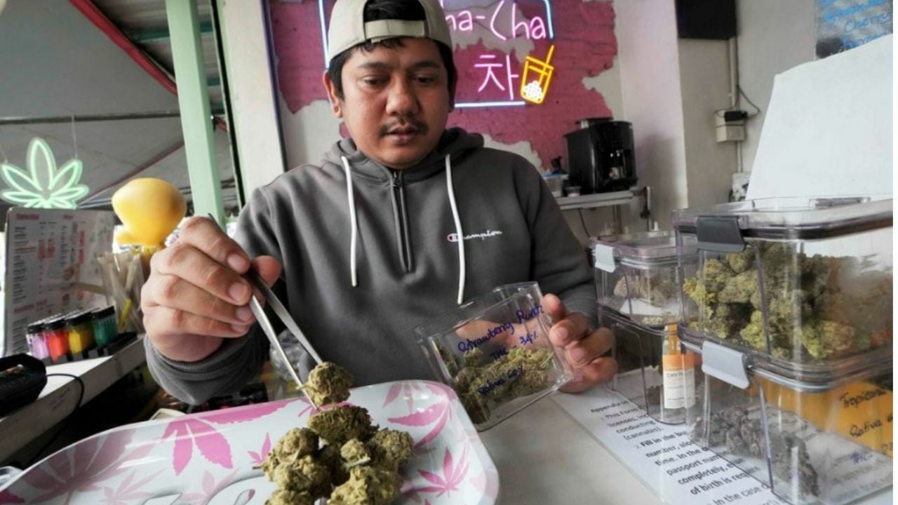 Weed out competition: Thailand’s cannabis shops face crackdown | News by Thaiger