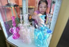 Weed out competition: Thailand’s cannabis shops face crackdown