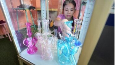 Weed out competition: Thailand’s cannabis shops face crackdown