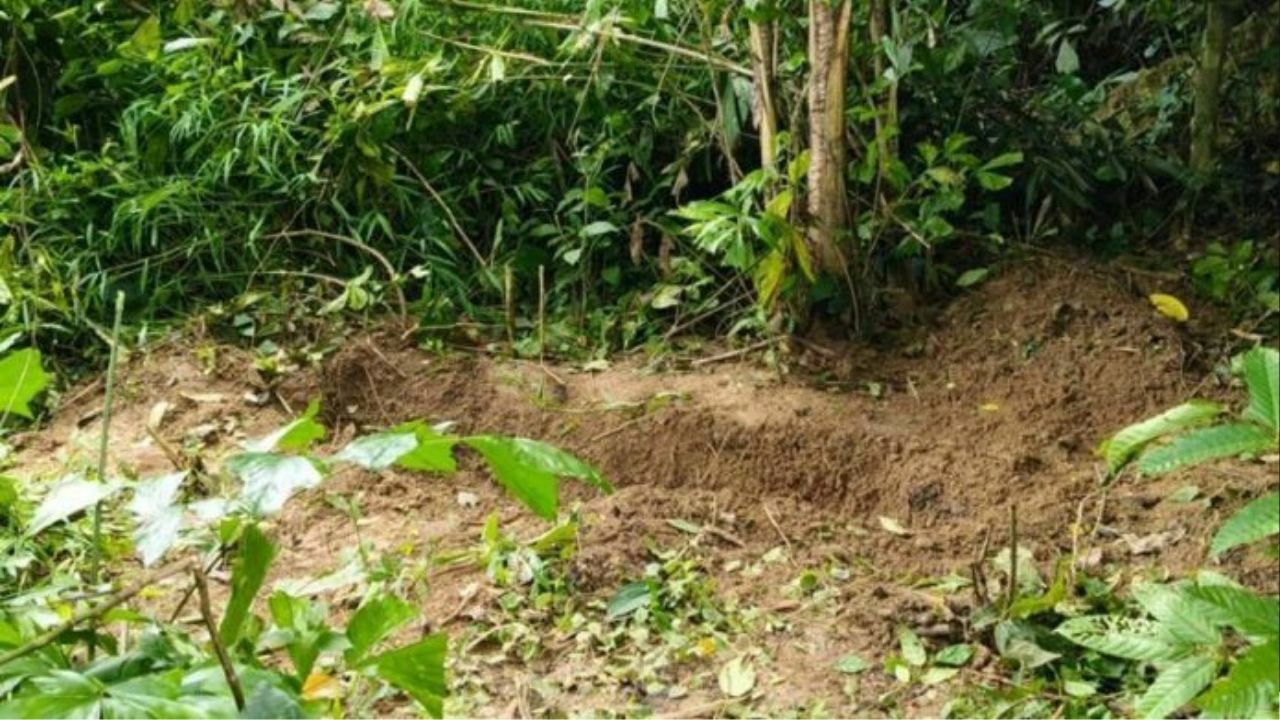 Two teens arrested for murder in Trang forest