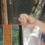 Attack on Mae Tuen wildlife sanctuary sparks urgent police hunt | Thaiger