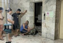 Shafted again! Pattaya elevator traps Burmese man