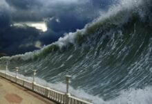 Quake fake! Thailand tsunami terror just a cartoon cliffhanger